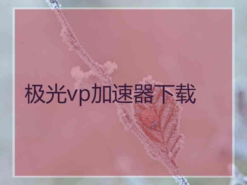 极光vp加速器下载 极光vp加速器下载