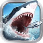 老王加速器在哪里下